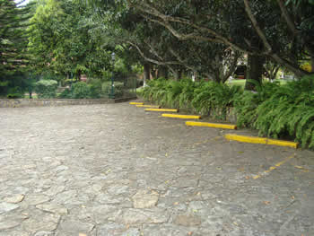 Ver imagen ampliada