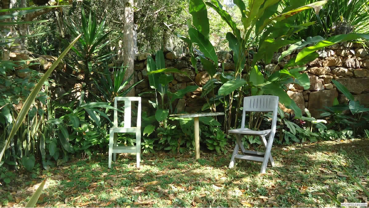 jardin_2