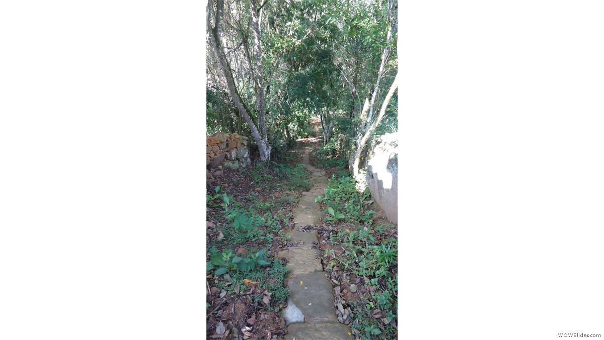 Fincas aire puro