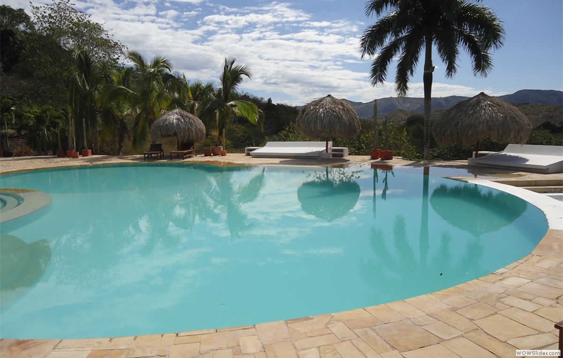 2_piscina_palmera