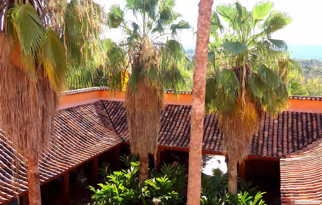 46_patio_palmas