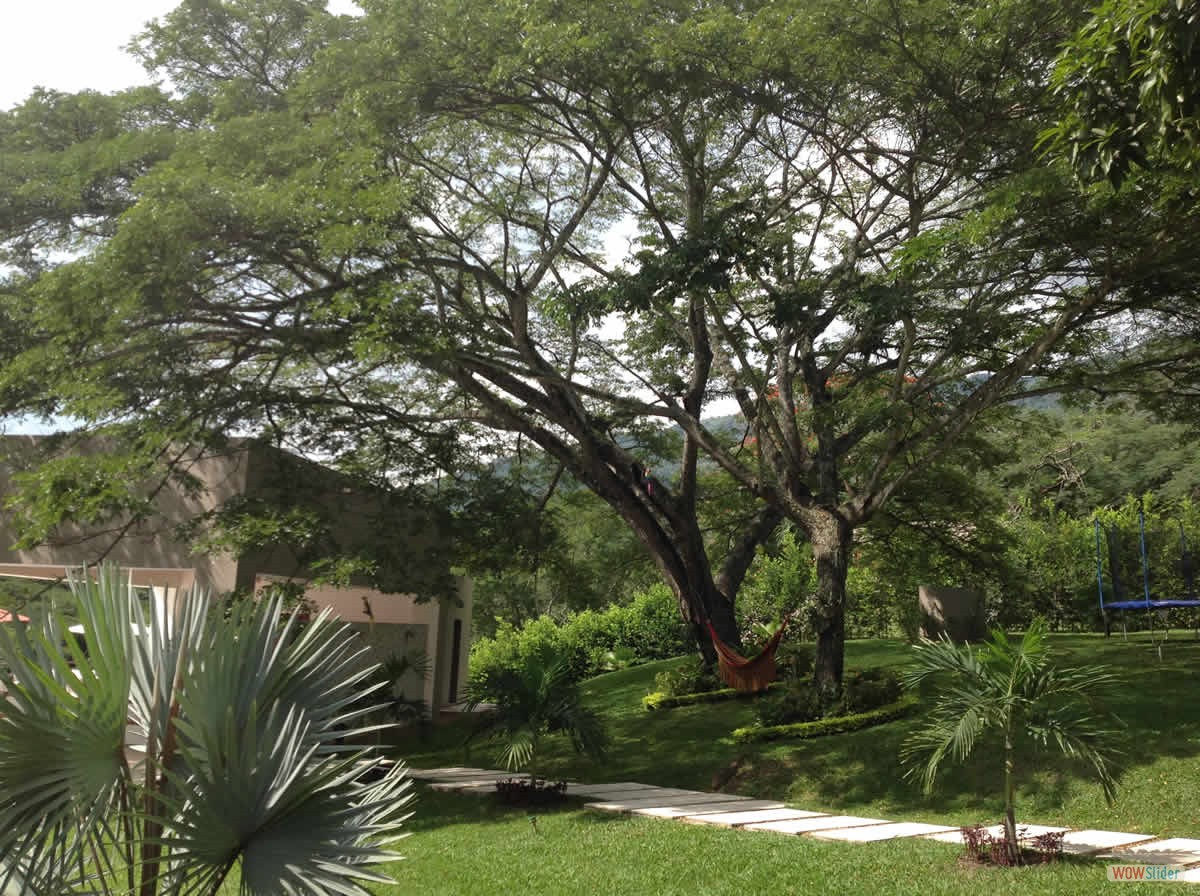 22_arbol