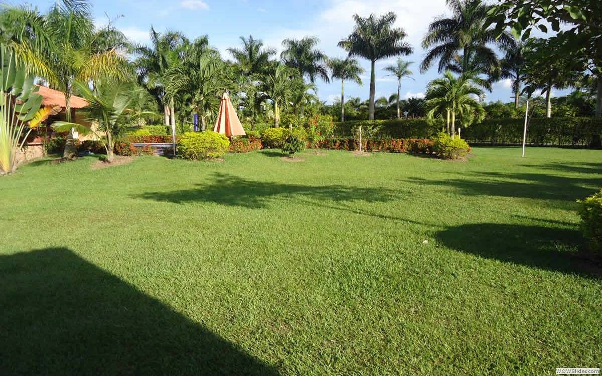10_jardin
