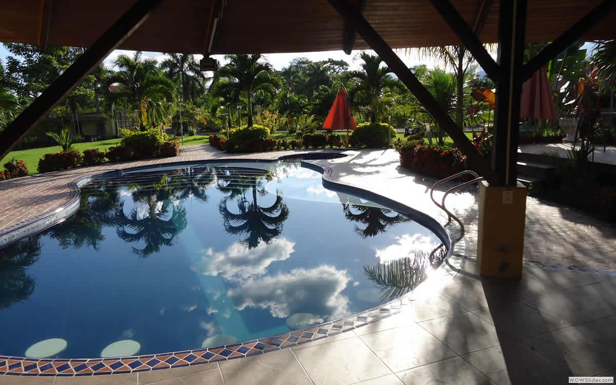 2_piscina_jardin