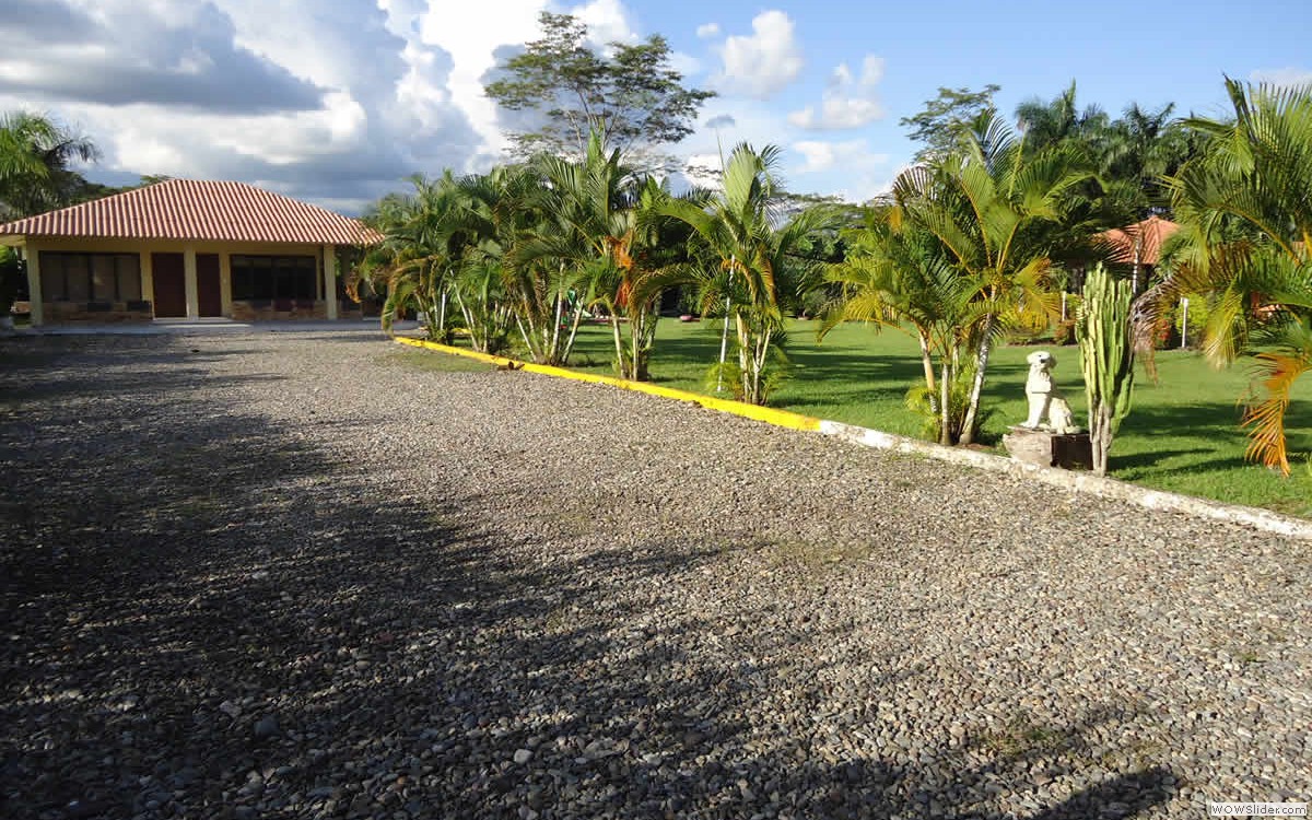 6_entrada