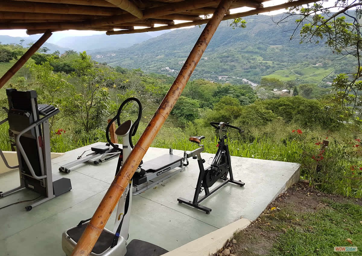 18_gimnasio